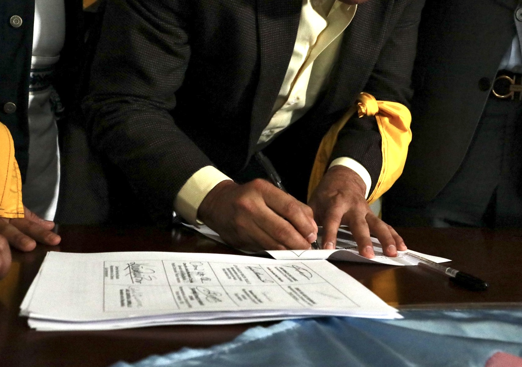 La autoría del proyecto de ley es del movimiento social trans y no binario, pero el documento radicado está firmado y cuenta con el apoyo de 35 representantes y senadores de distintos partidos políticos.
