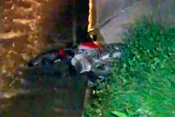 Motociclista cayó a caño de Bogotá por esquivar un hueco