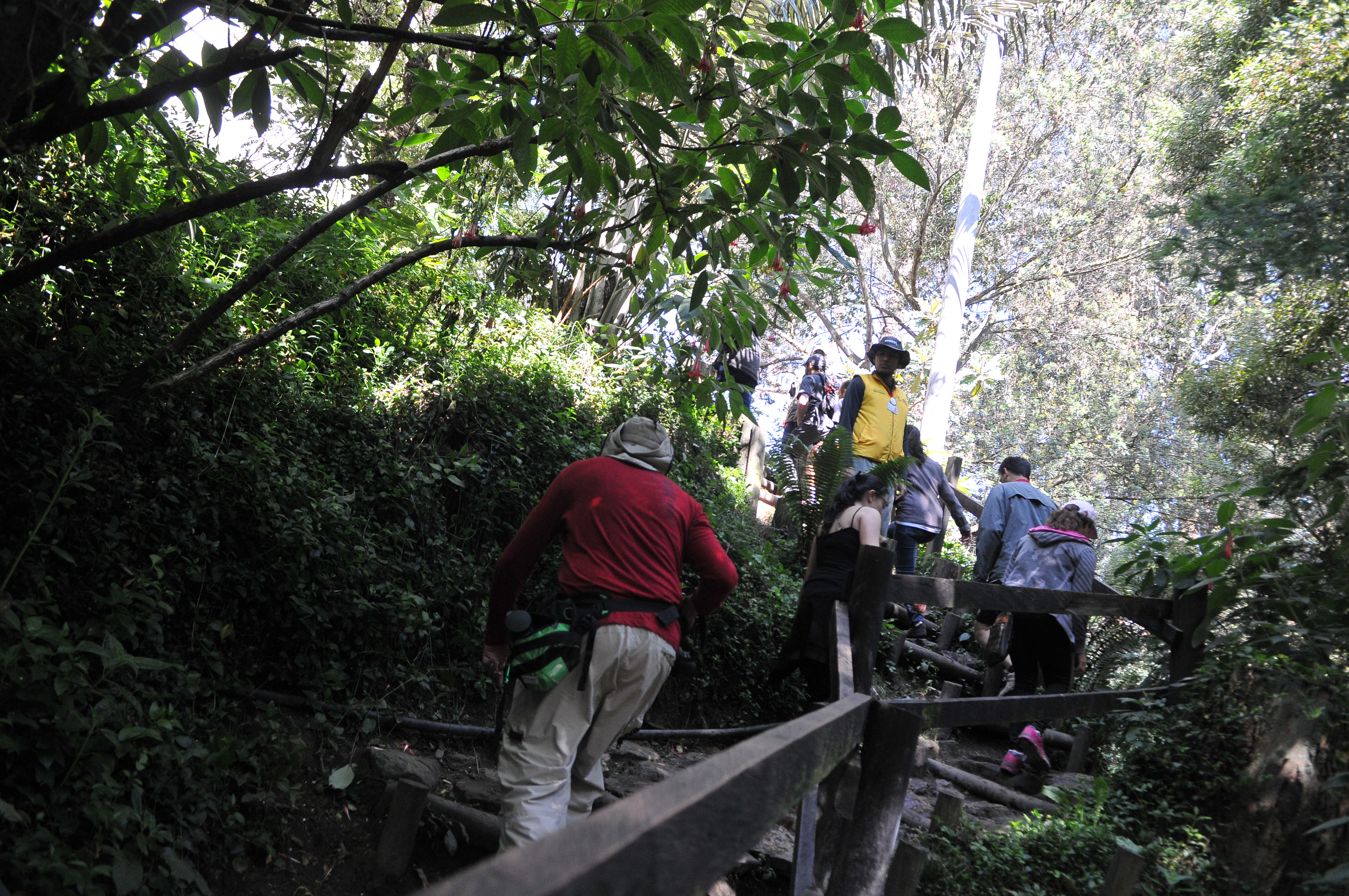 Prográmese: caminos de los cerros orientales estarán cerrados el fin de semana