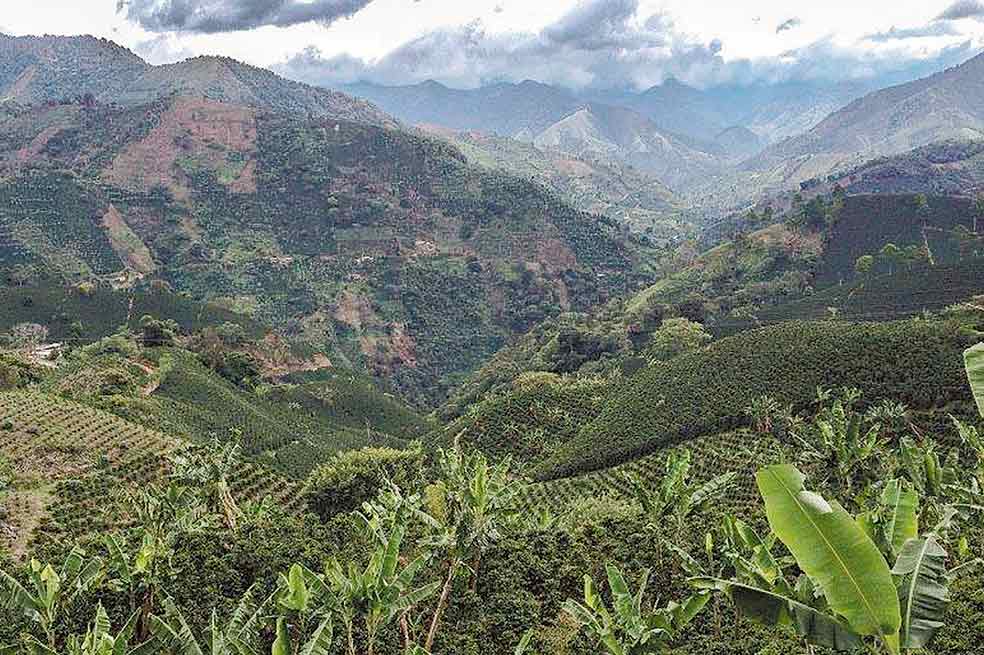 Niña de 13 años fue asesinada en suroeste antioqueño