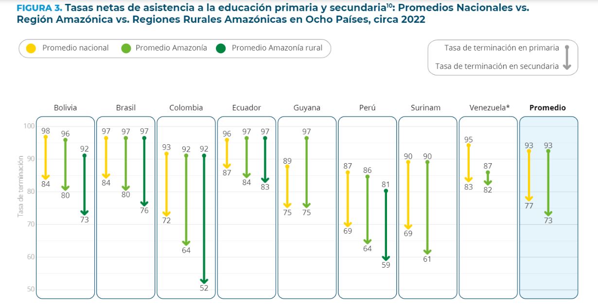 Tasas de asistencia para la educación primaria y secundaria.