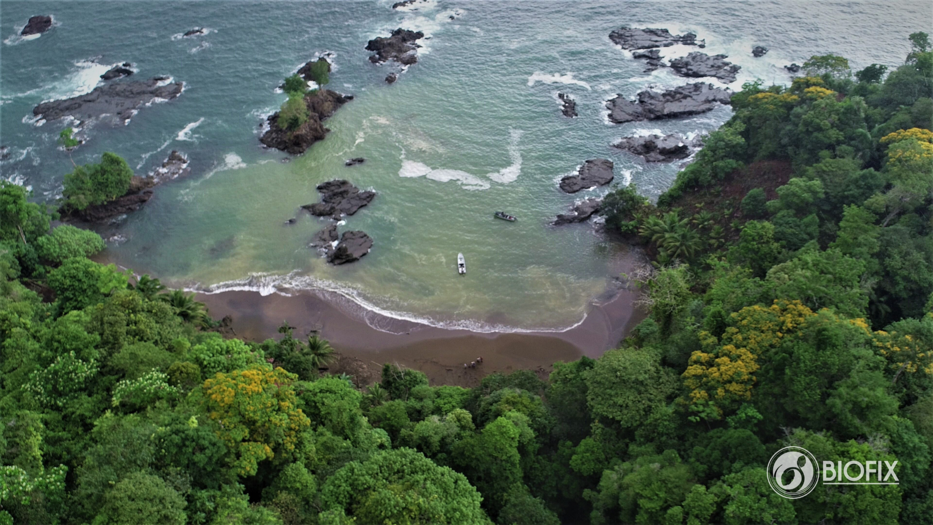 Delfines Cupica REDD+ se destaca en Premios BIBO 2021