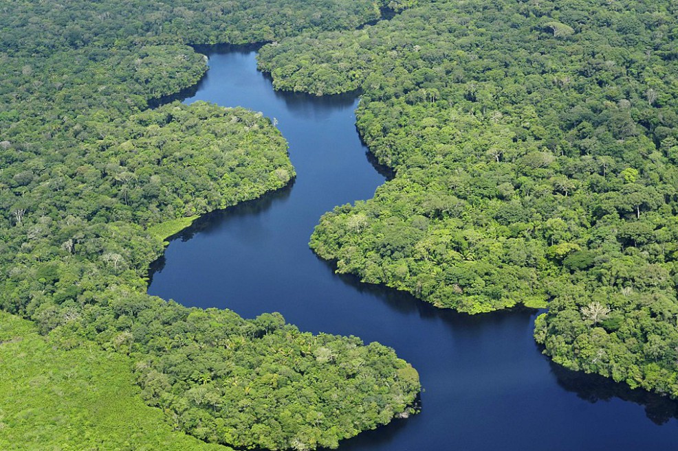 Detalles de la sentencia de la Corte Suprema que le dio derechos a la Amazonía