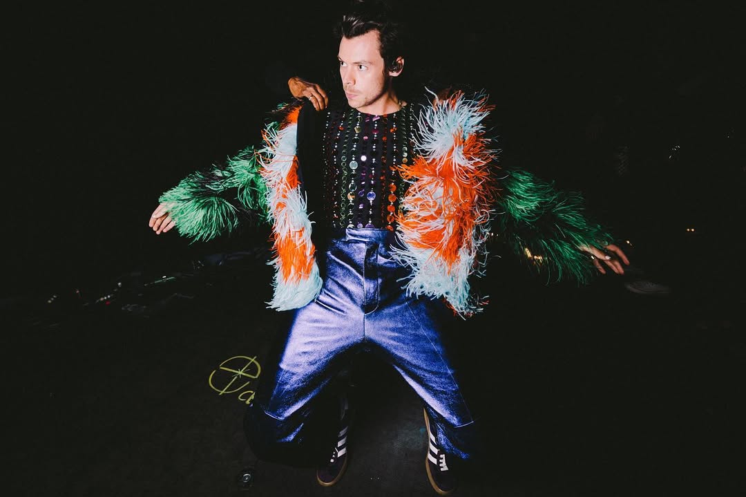 Harry Styles, de One Direction, le apuesta a vender artículos para el placer
