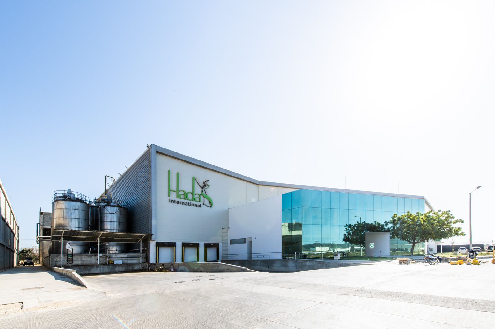 Jornada laboral de cuatro días permitió a empresa crecer un 95% en productividad