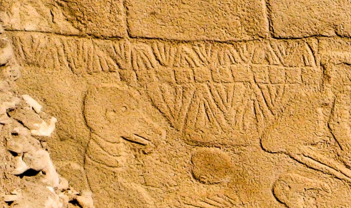 Descubren el calendario más antiguo del mundo en templo construido hace 13.000 años en Turquía