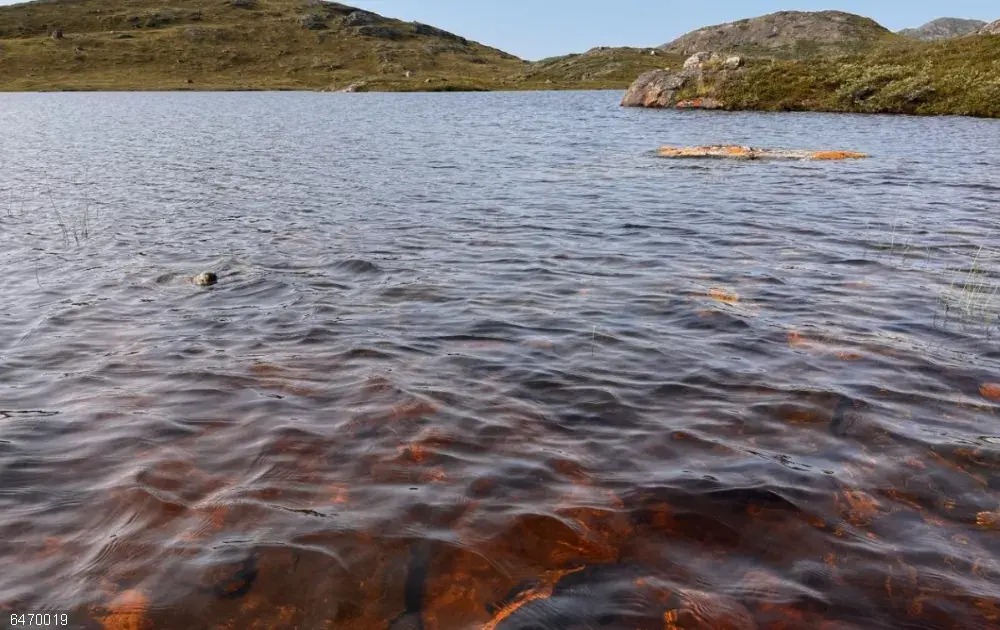 Miles de lagos en Groenlandia se volvieron marrones por el calentamiento global