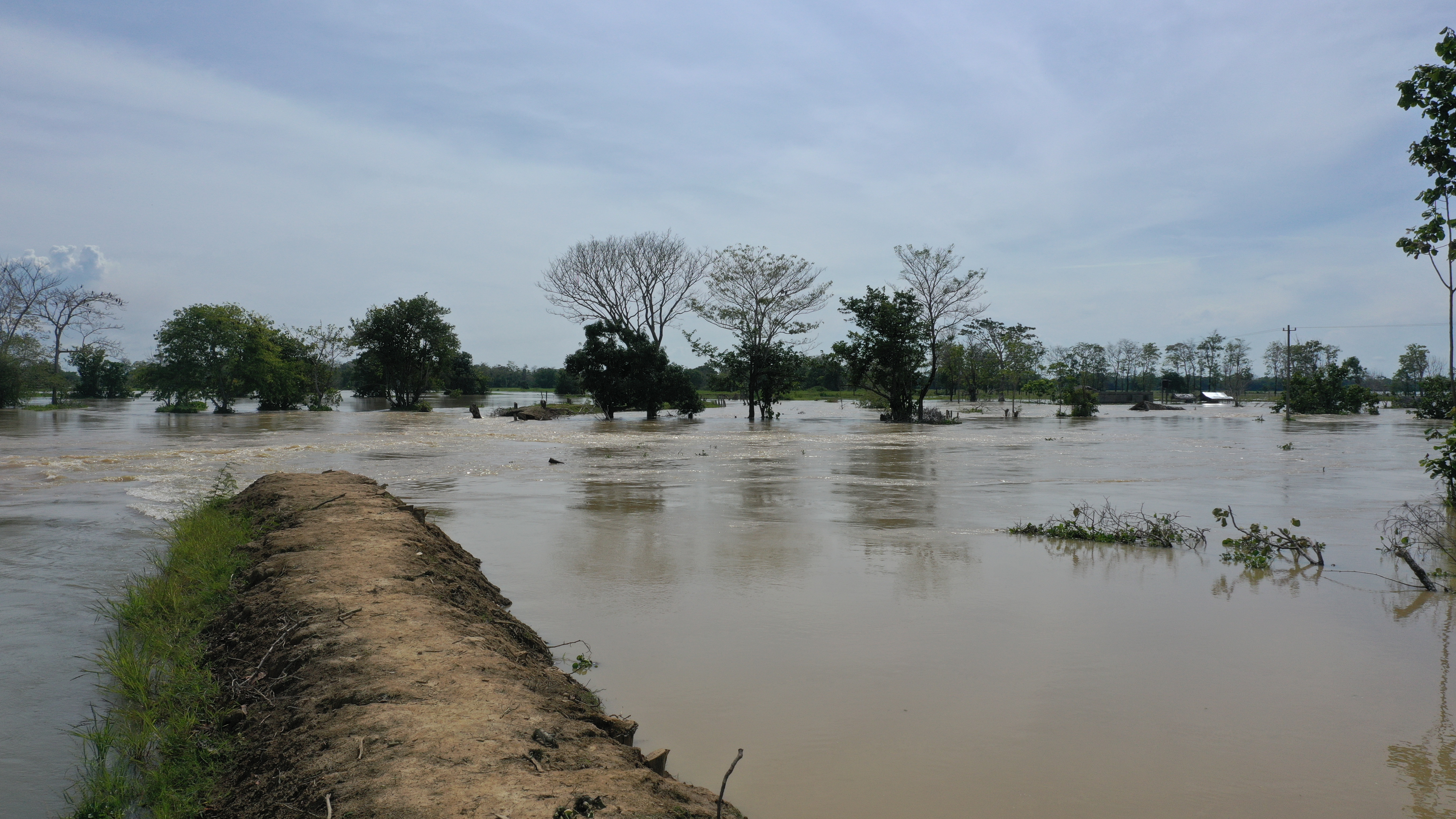 El daño renal que padece Colombia