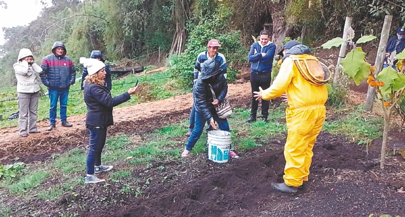 ¿Cómo impulsar el turismo comunitario y rural en Bogotá?