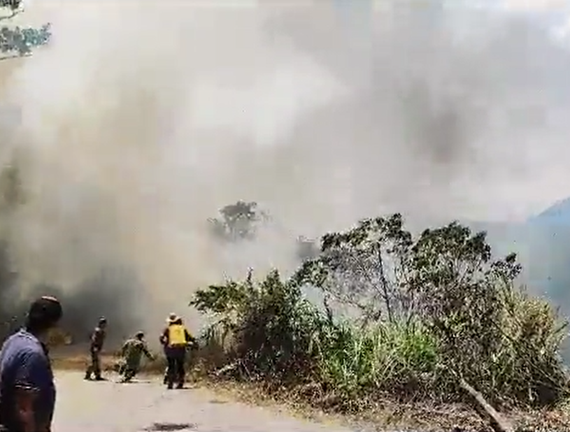 Controlan en un 90% incendio forestal en la vereda Cuatro Caminos de Caparrapi, Cundinamarca