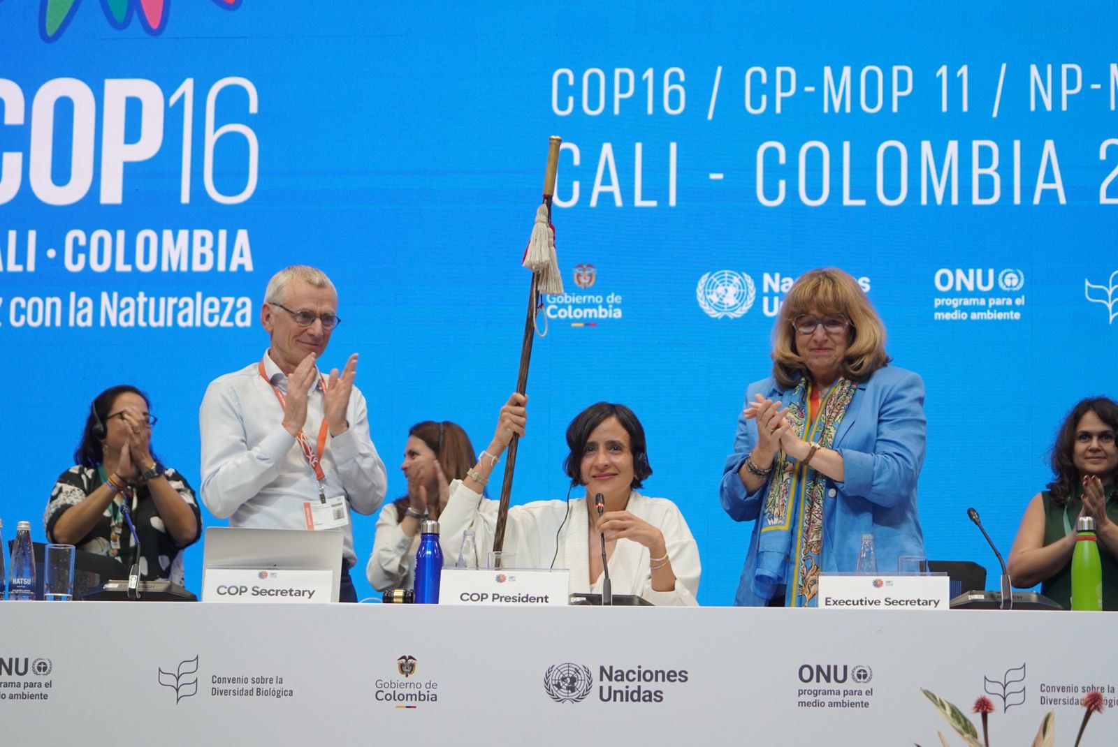 cop16 - plenaria de cierre