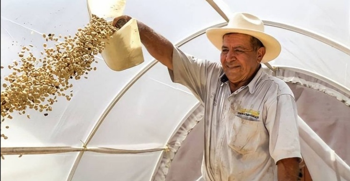 José Escobar, campesino cafetero.