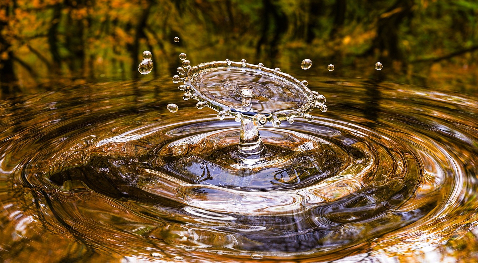 ¿De qué se trata el primer Menú de Aguas 100 % colombiano?