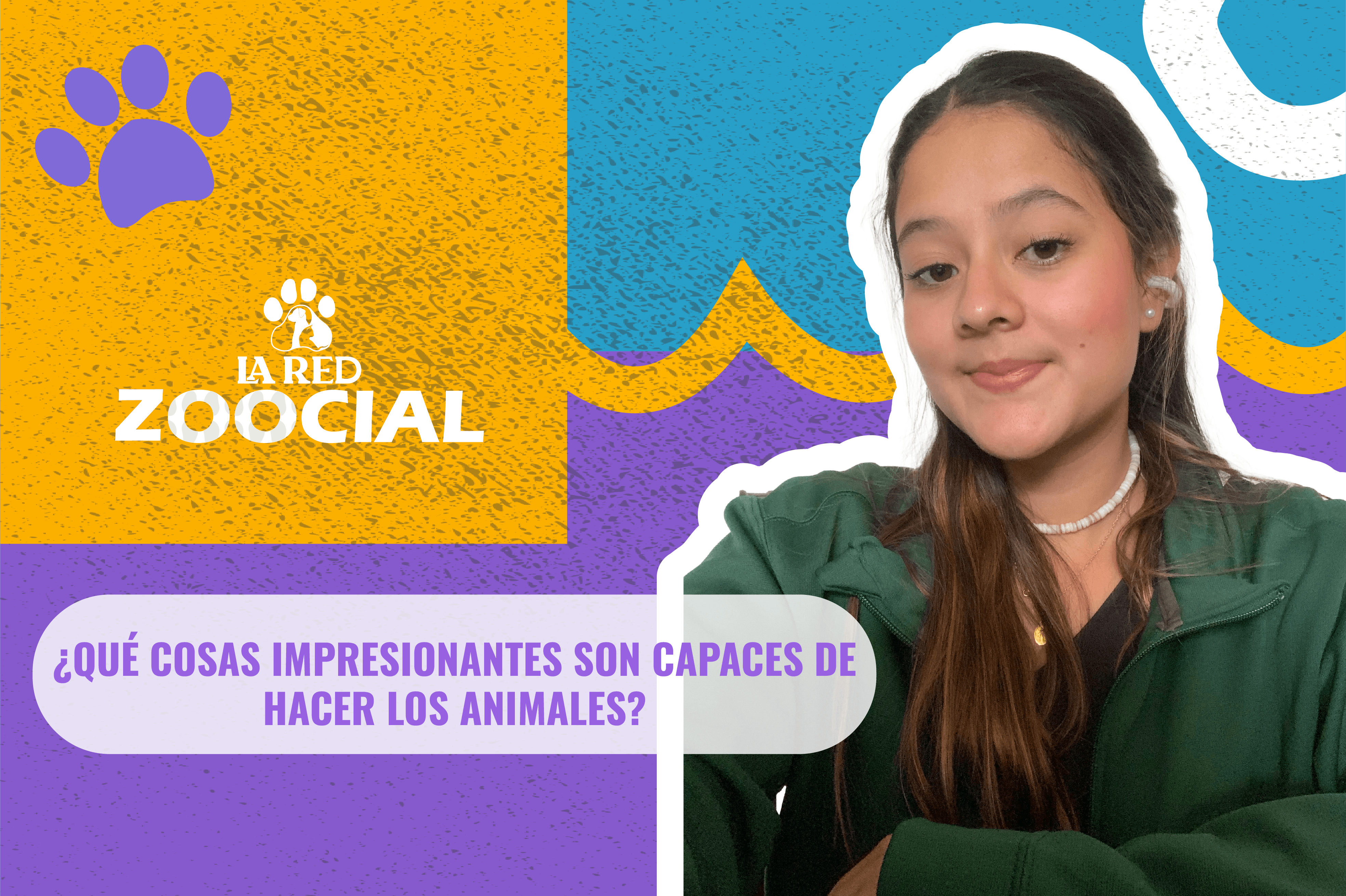 ¿Qué cosas impresionantes pueden hacer los animales?