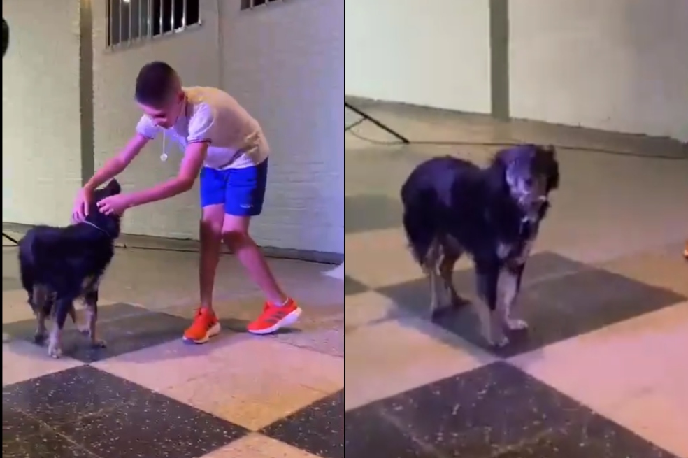 La historia de Negrita, la perra que se “graduó” y acompañó a toda una escuela