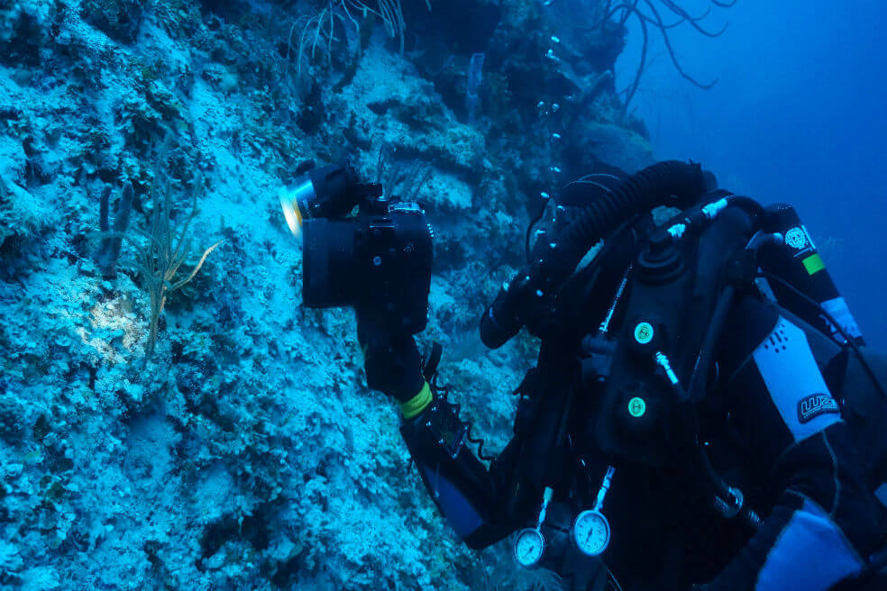 La expedición que exploró los corales del fondo del mar Caribe