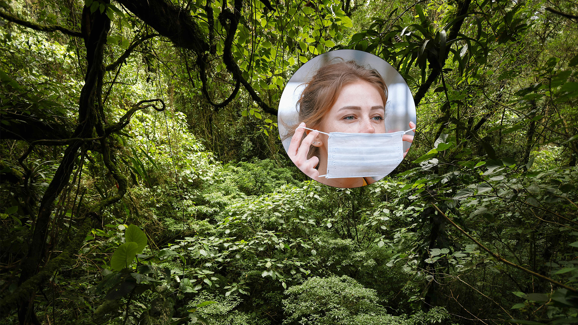 COP16 en Cali: explorando cómo la salud de bosques y vacas impacta la salud humana