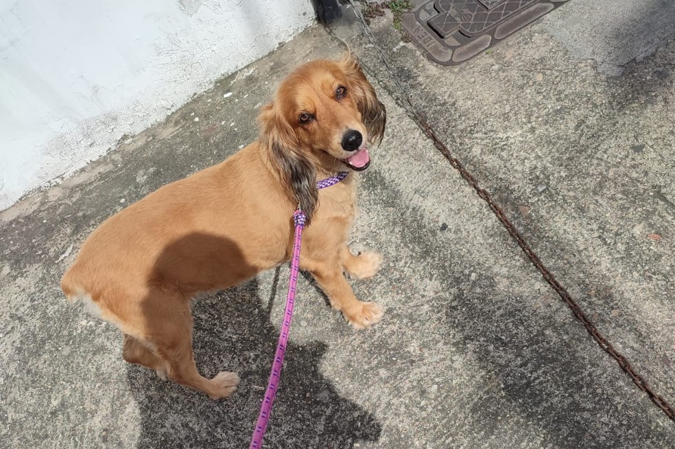 Mi segunda oportunidad con Lulu.