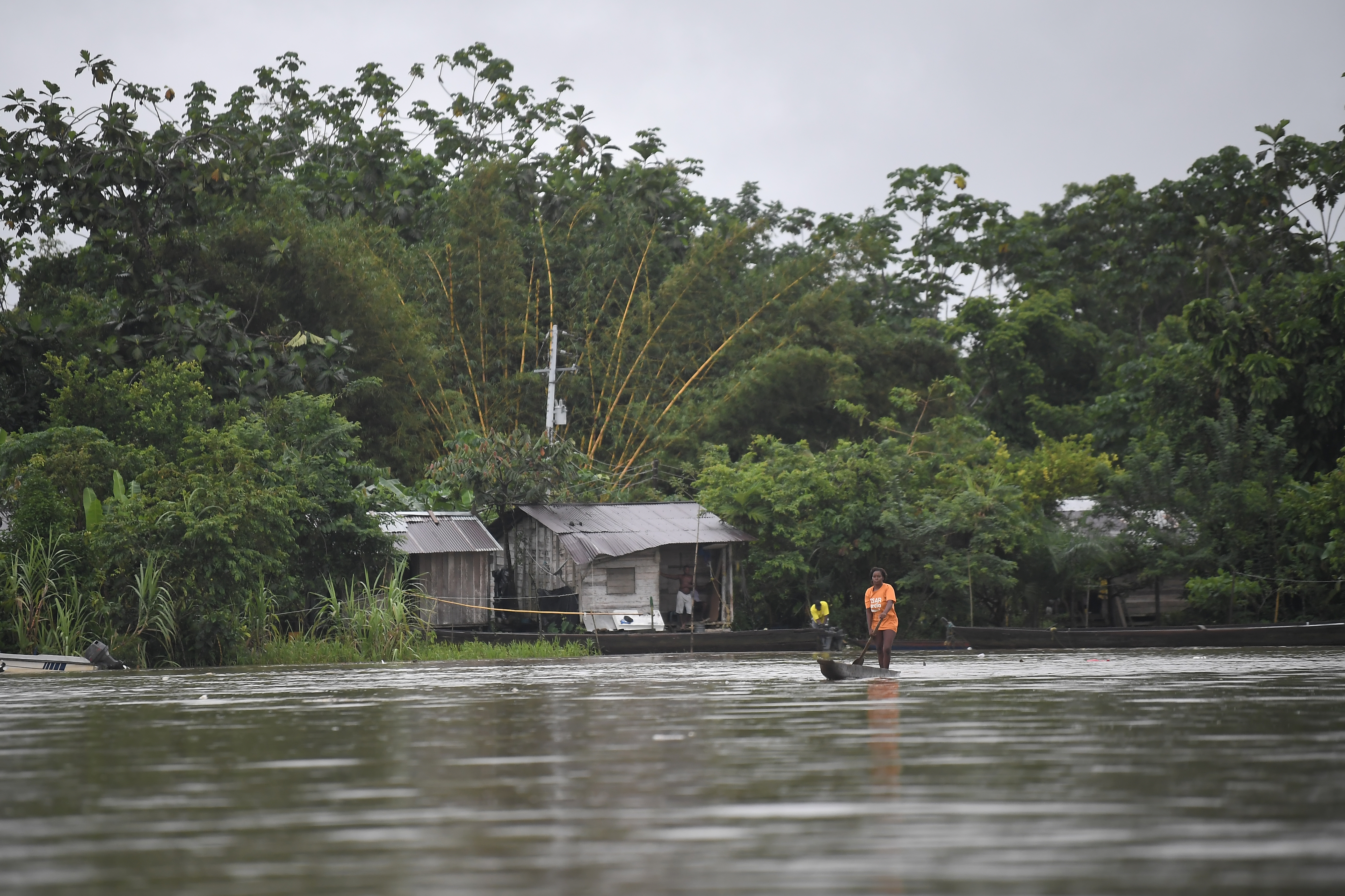 La Sentencia T-622 reconoce al río como una entidad con derecho a protección, por eso las comunidades son sus principales guardianes.