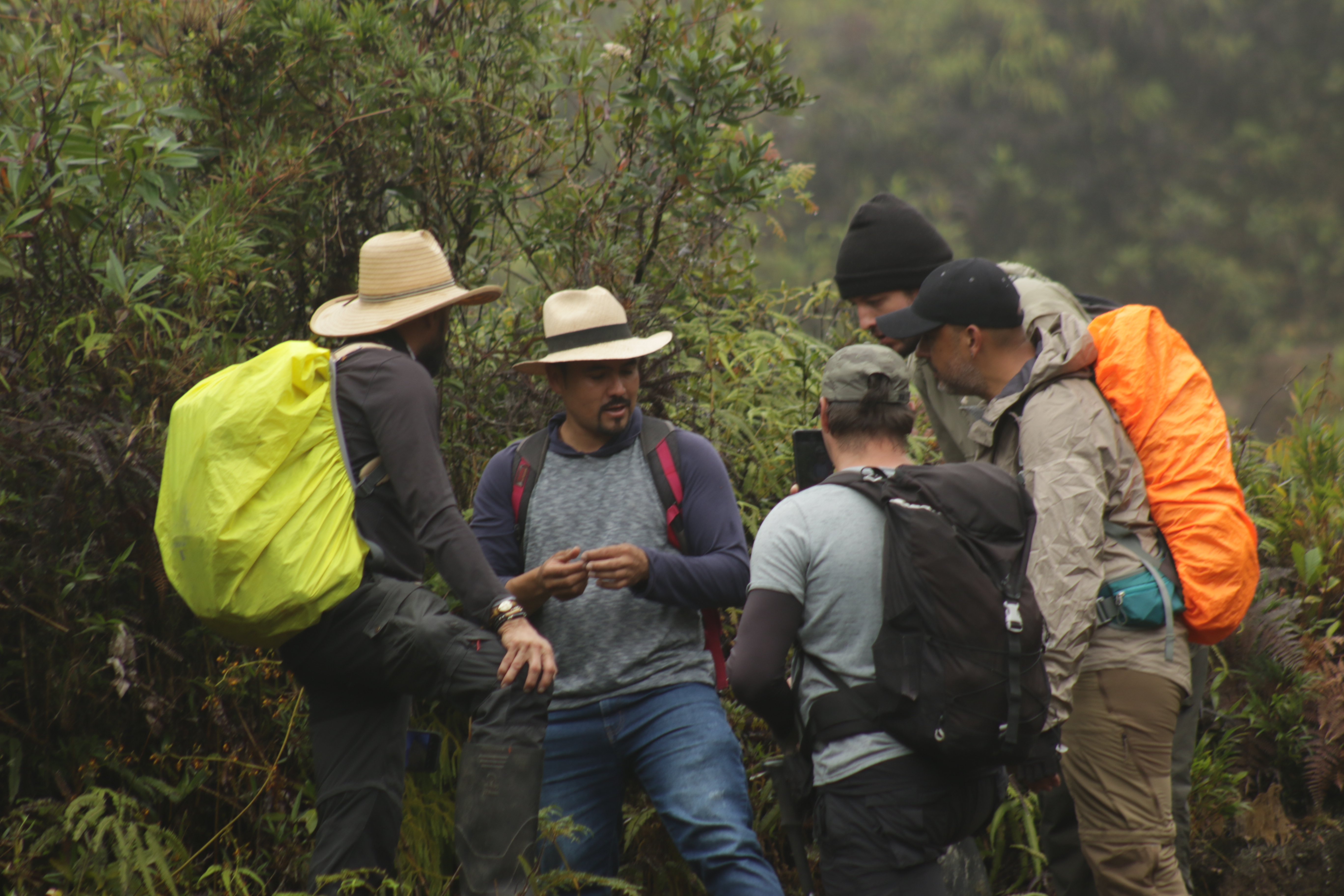 Native ve al turismo como un catalizador de cambios positivos en la región, pues este puede ser un vehículo para retribuir a los territorios que visitamos.