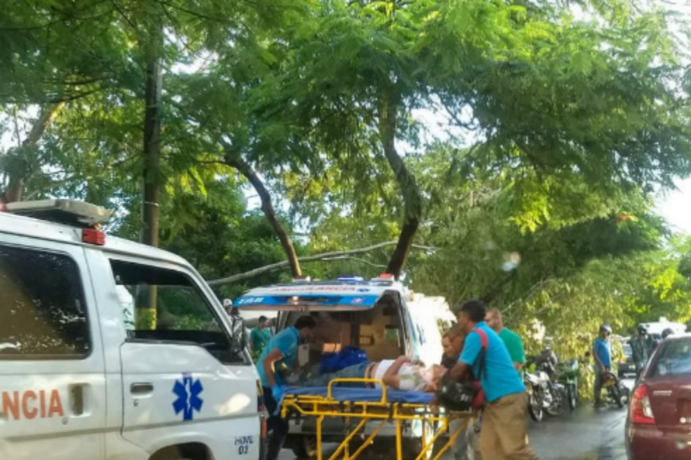 Un muerto y tres heridos por caída de rama de gran tamaño en Montería