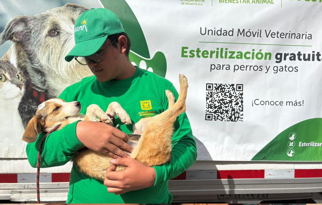 Bogotá abre 3.000 cupos gratuitos de esterilización para perros y gatos en febrero