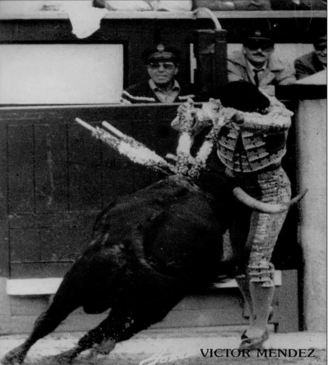 Torero