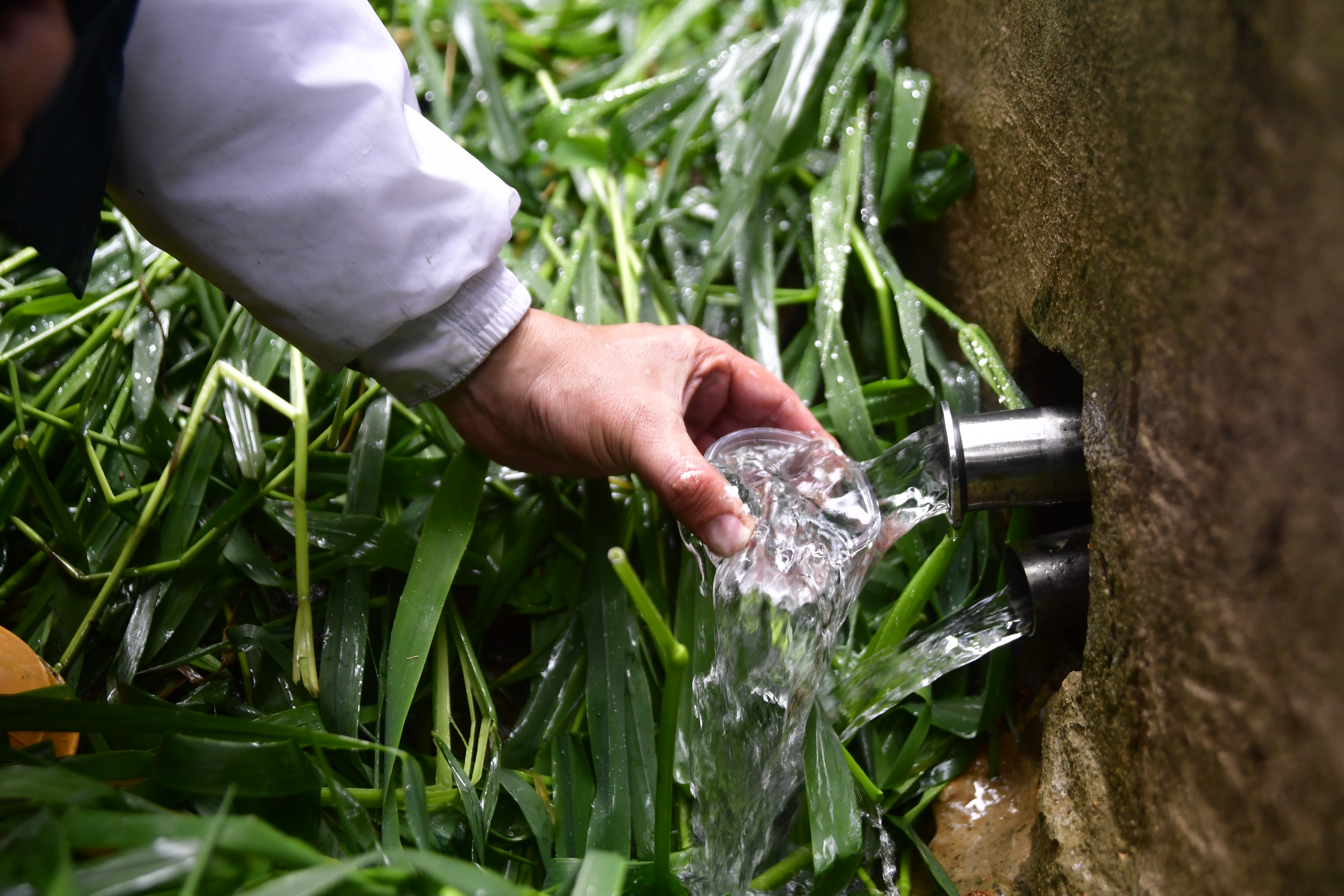 MinAmbiente se pronunció sobre concesión de agua subterránea de Coca Cola
