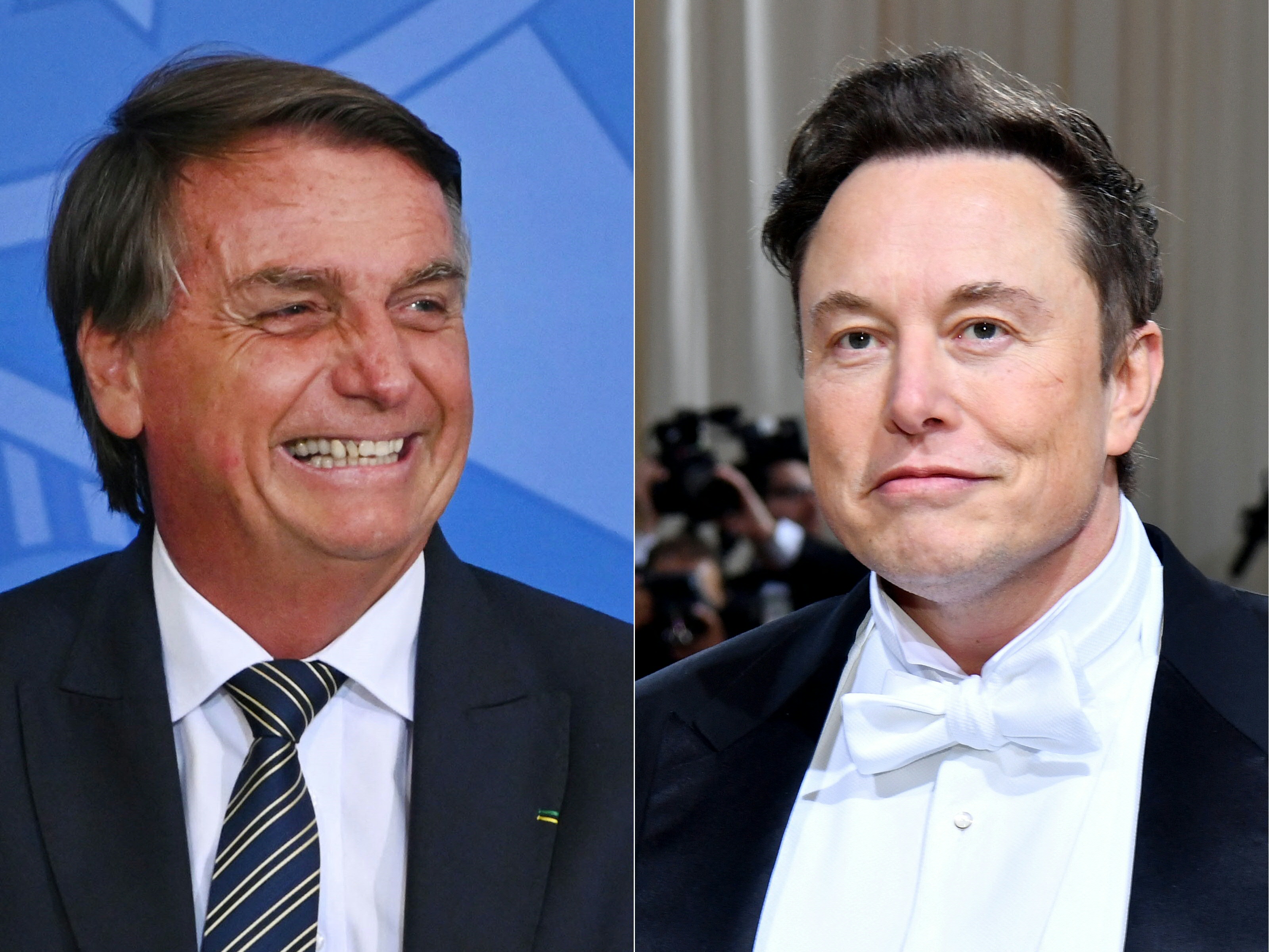 Elon Musk quiere conectar y monitorear la Amazonía, ¿cuál es su plan en Brasil?