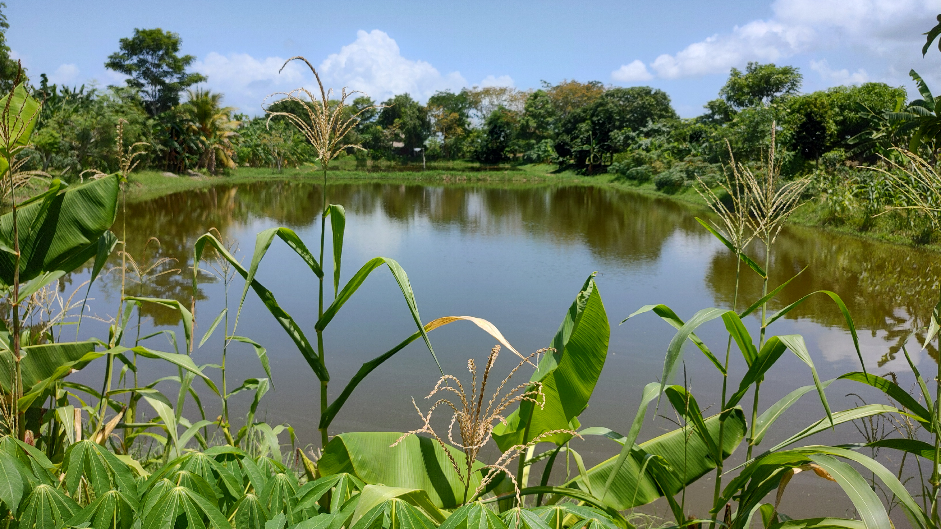 La fórmula para que Colombia logre una agricultura sostenible