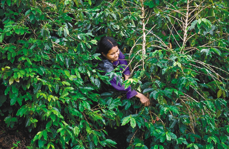 ¿Qué pasa con el trabajo en el campo?