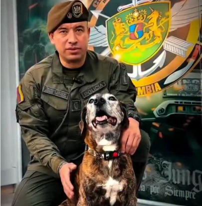 Maraña fue rescatado en las selvas del Caquetá y ahora es perro policía