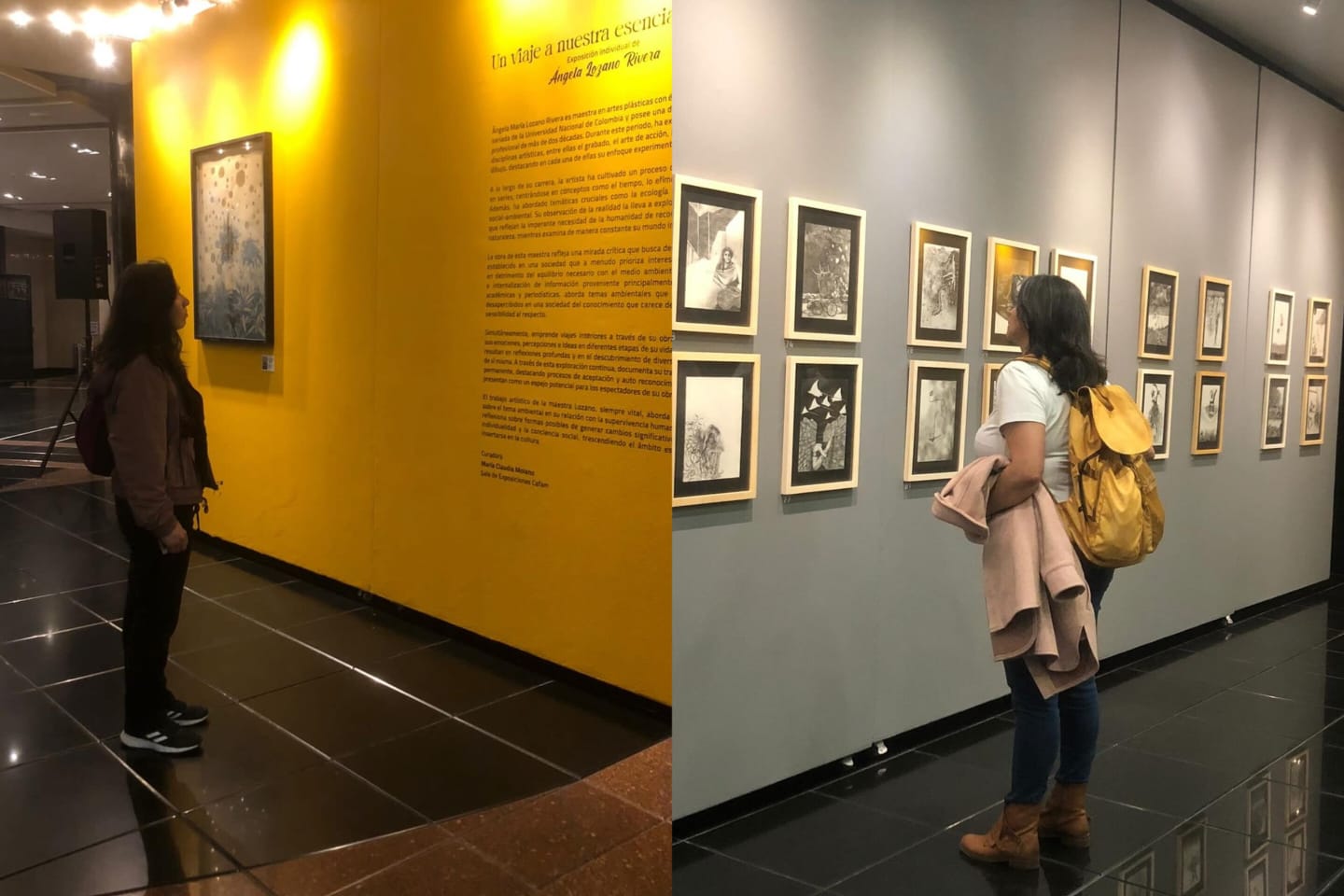Llega “Un viaje a nuestra esencia natural” a la Sala de Exposiciones Cafam