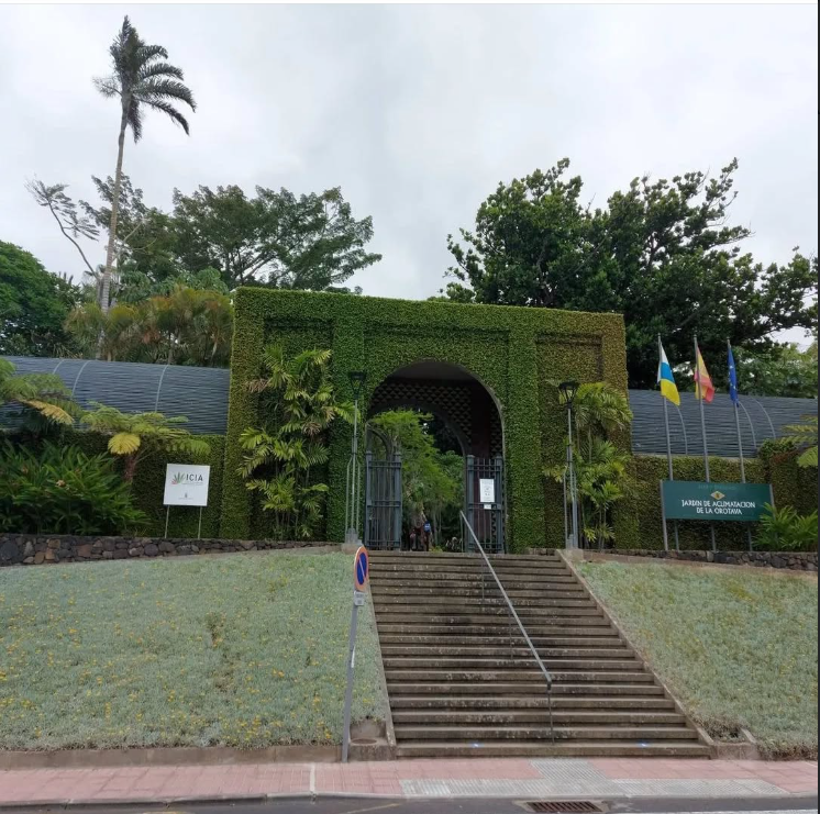 El Jardín de Aclimatación de La Orotava, nació con el objetivo de cultivar y estudiar especies tropicales en territorio español. Inaugurado a finales del siglo XVIII y diseñado por el arquitecto Nicolás Eduardo, este jardín científico de 20.000 metros cuadrados —con un ambicioso plan de ampliación— es hoy un oasis botánico en Tenerife, dedicado a la investigación, el intercambio internacional de germoplasma y la conservación de la flora canaria, con un herbario de más de 37.000 pliegos.