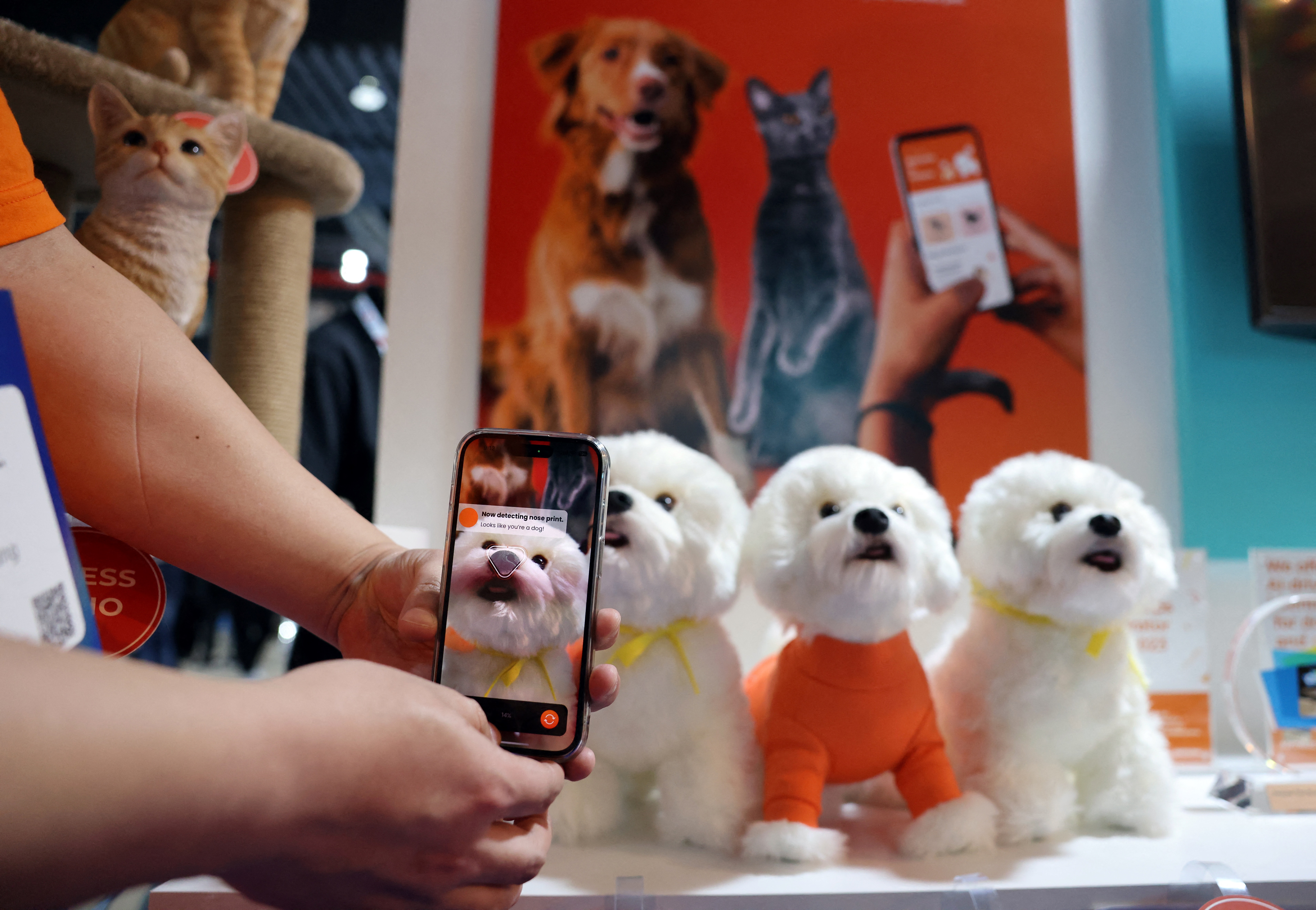 Mascotas robots: ¿por qué los usan como compañía terapéutica?