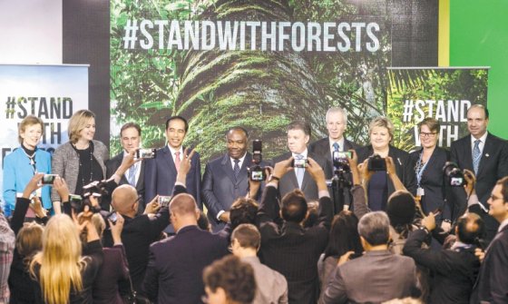 “Progreso” contra ambiente, de nuevo