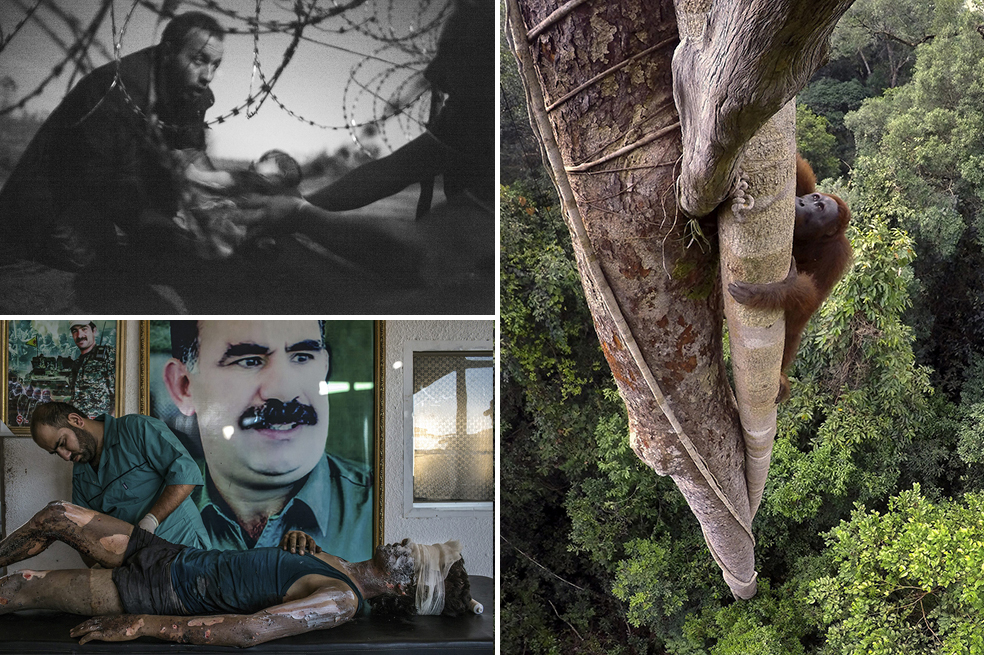 Estas son las fotos ganadoras del World Press Photo 2016