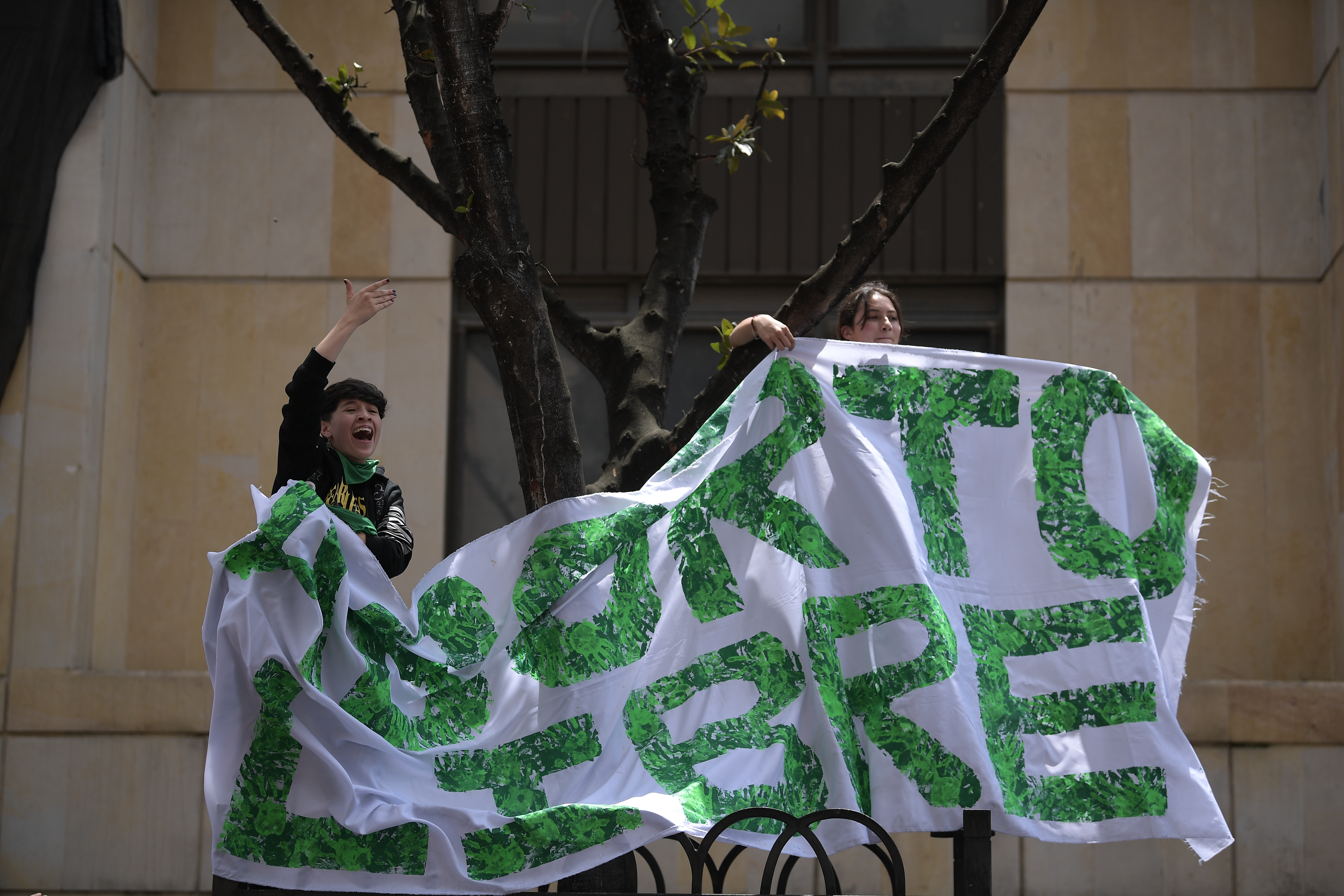 La postura “provida” del Ministerio de Salud en el debate sobre el aborto