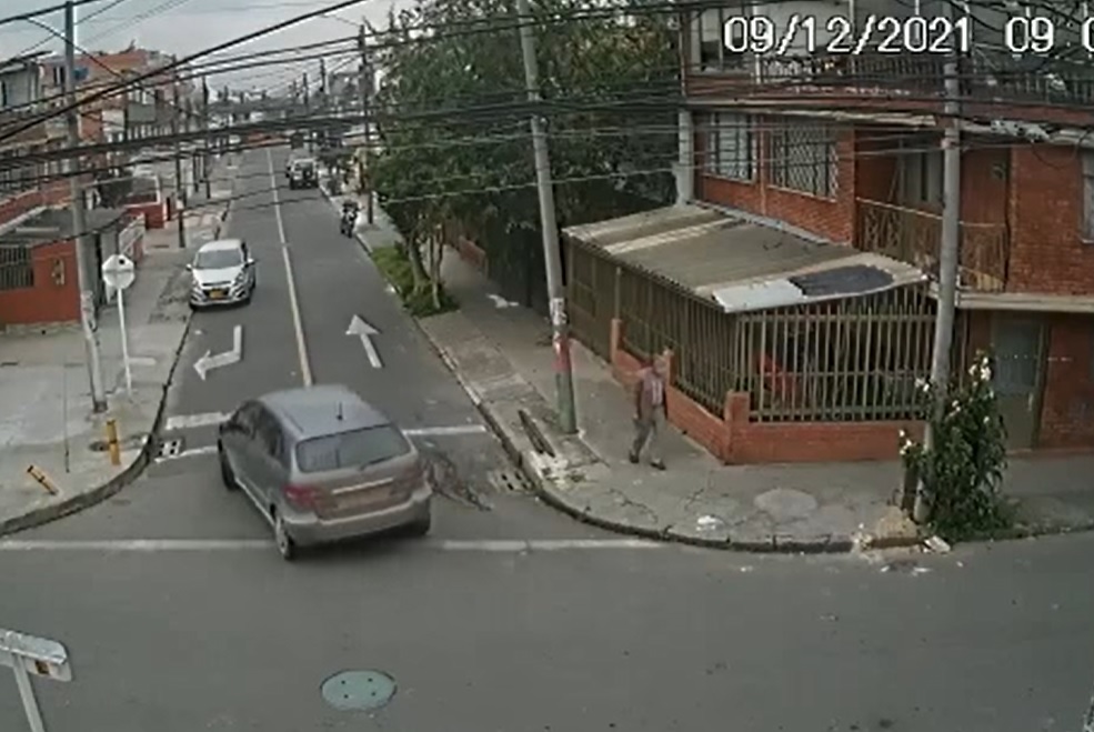 Nuevo caso de maltrato animal en Bogotá: perro fue atropellado y conductor huyó