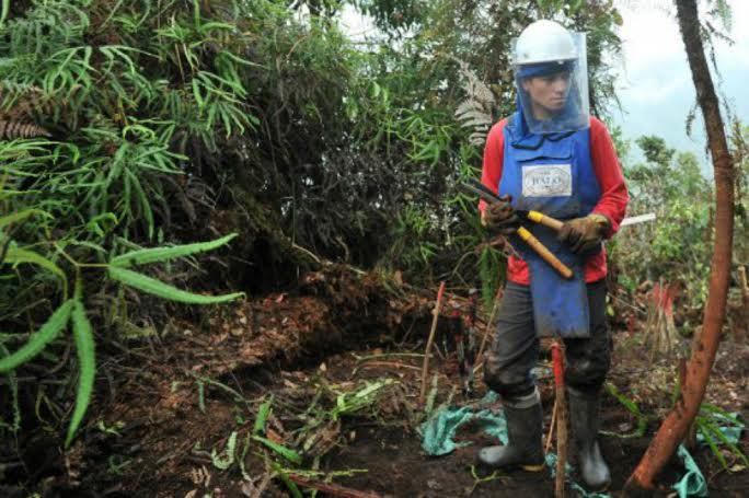 En 15 años han muerto 869 niños y 248 niñas por las minas antipersonas