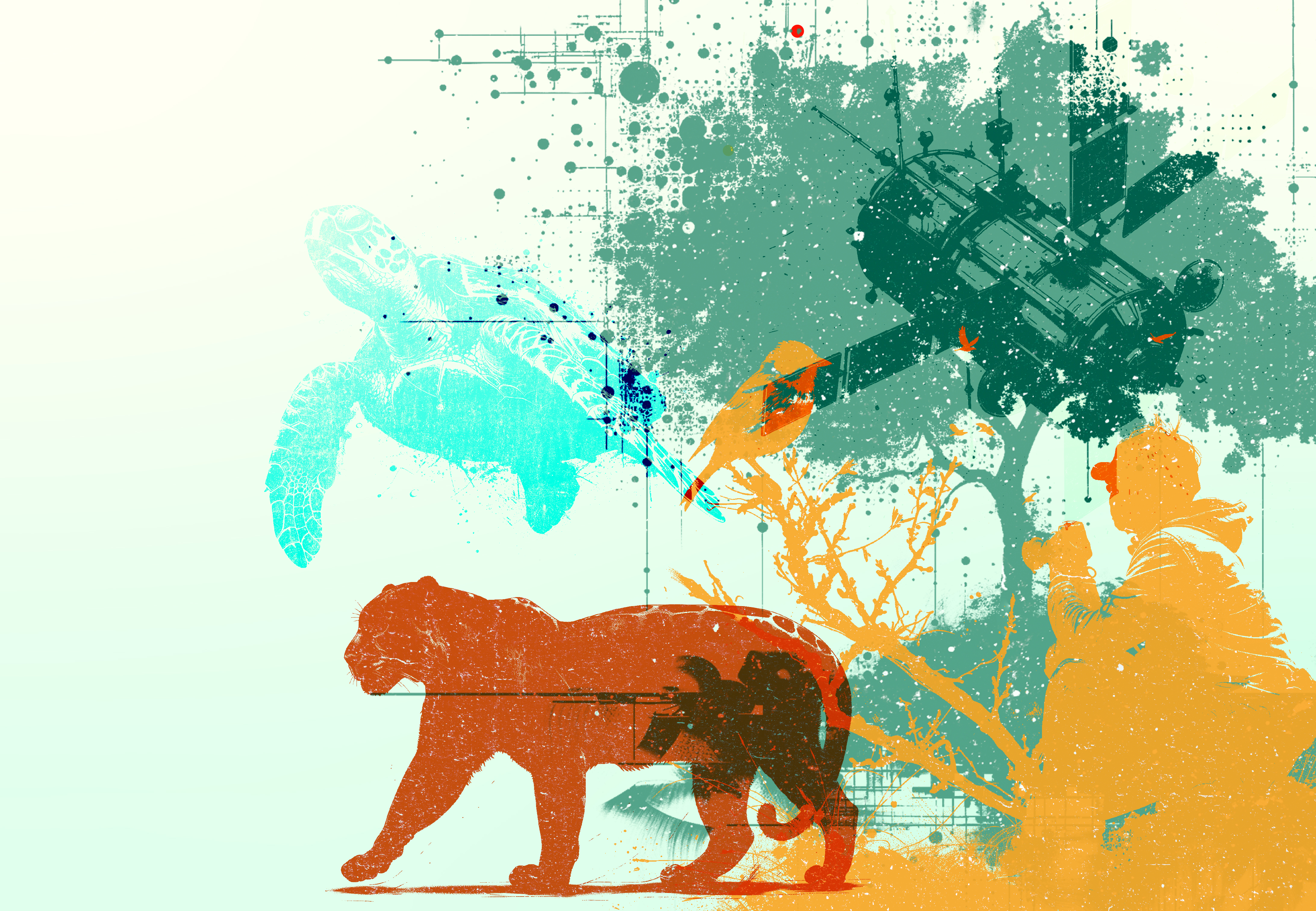 La experiencia de Colombia en el monitoreo de su biodiversidad que será ejemplo en cita internacional