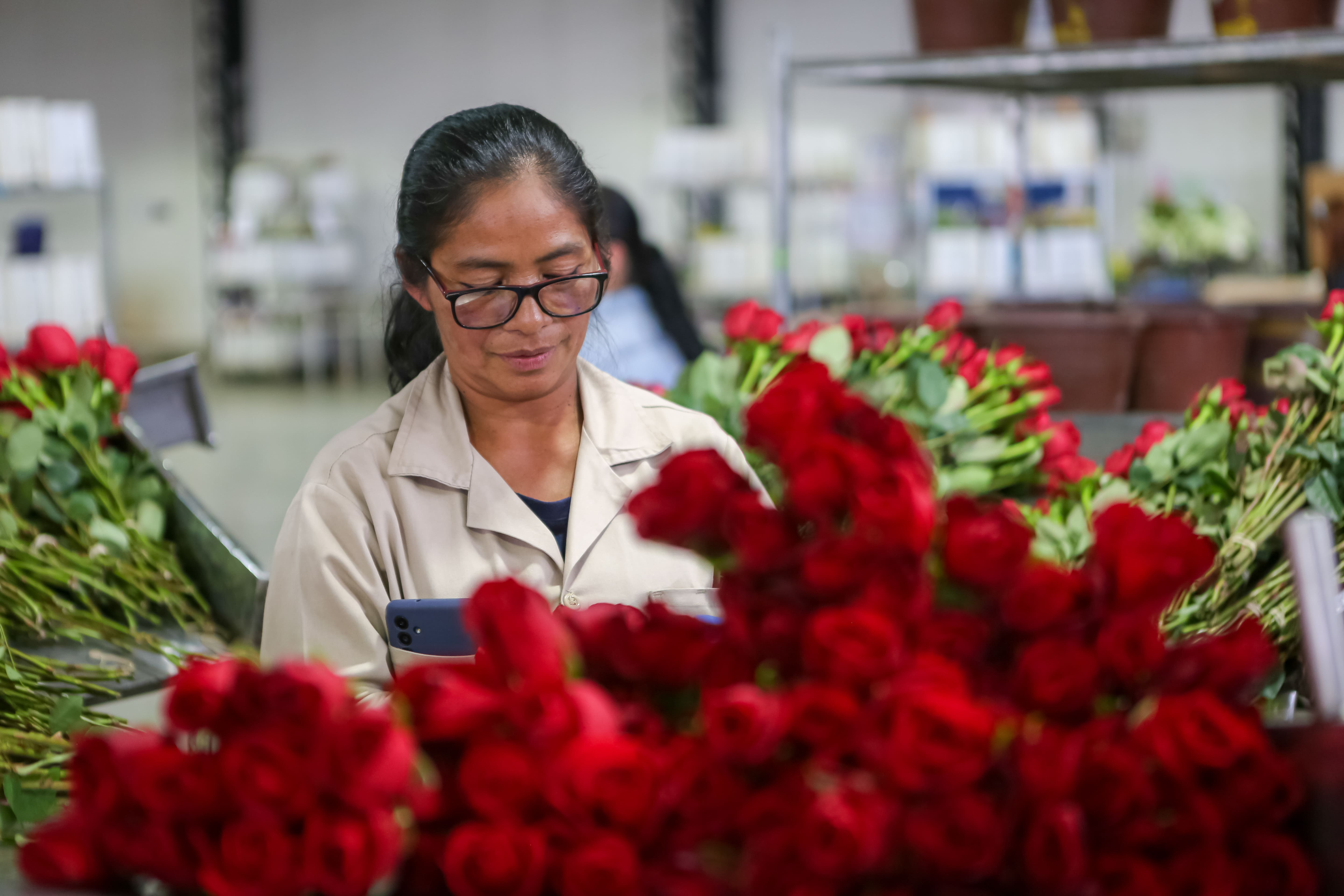 Latam envía toneladas de flores a Estados Unidos y Europa por el Día de las Madres