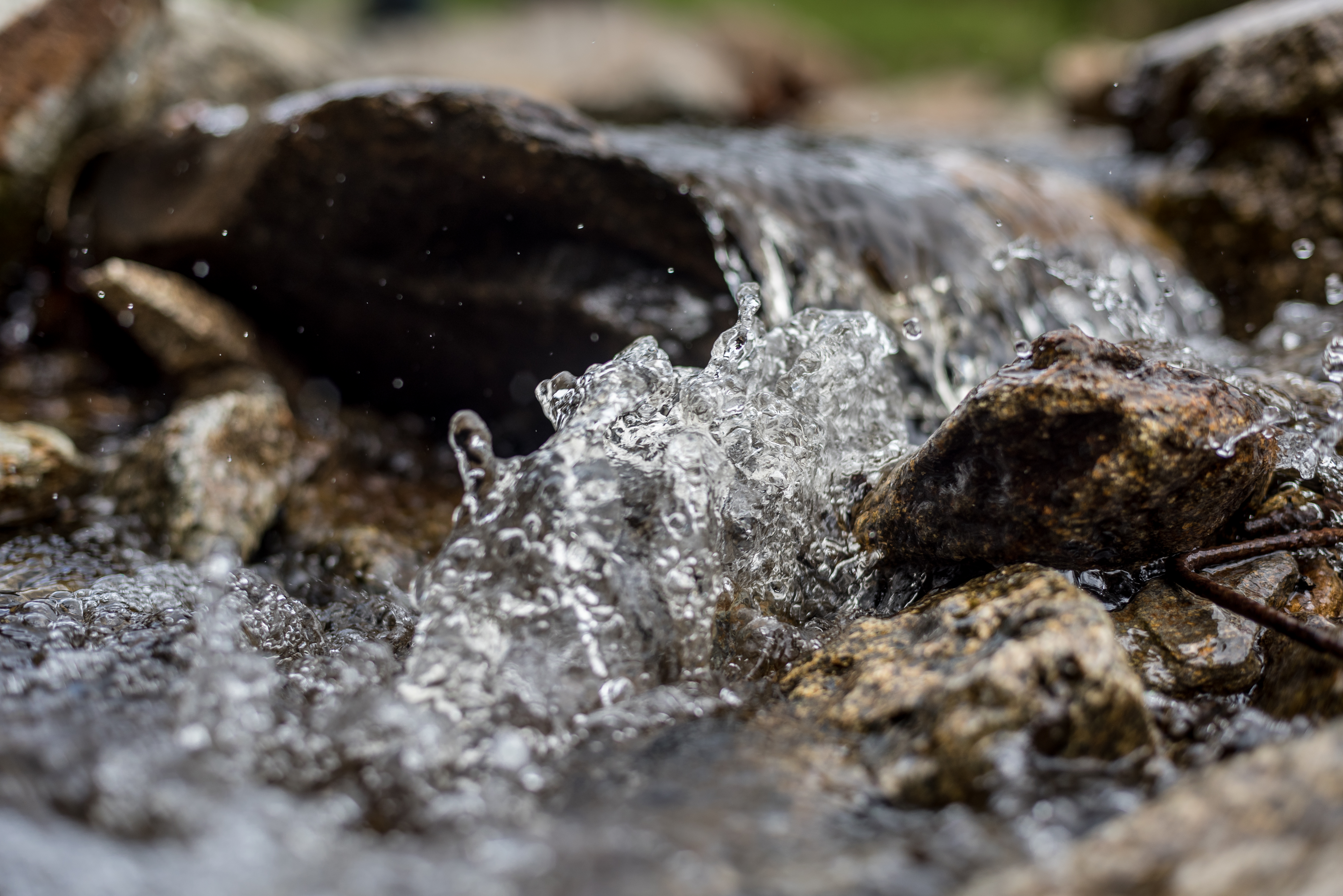 Así aporta la Fundación Grupo Argos a la conservación de agua del país