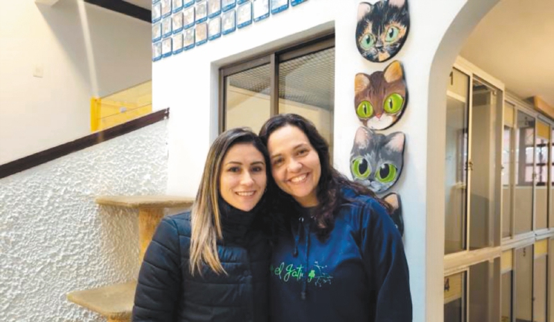 La Gatitienda, un emprendimiento que salva las vidas de gatos adultos