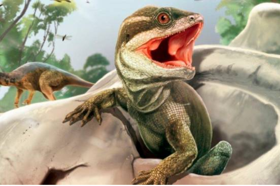 Reconstrucción de Taytalura en su hábitat natural con la conífera extinta Rhexoxylon en Ischigualasto (Argentina), durante el Triásico Superior.