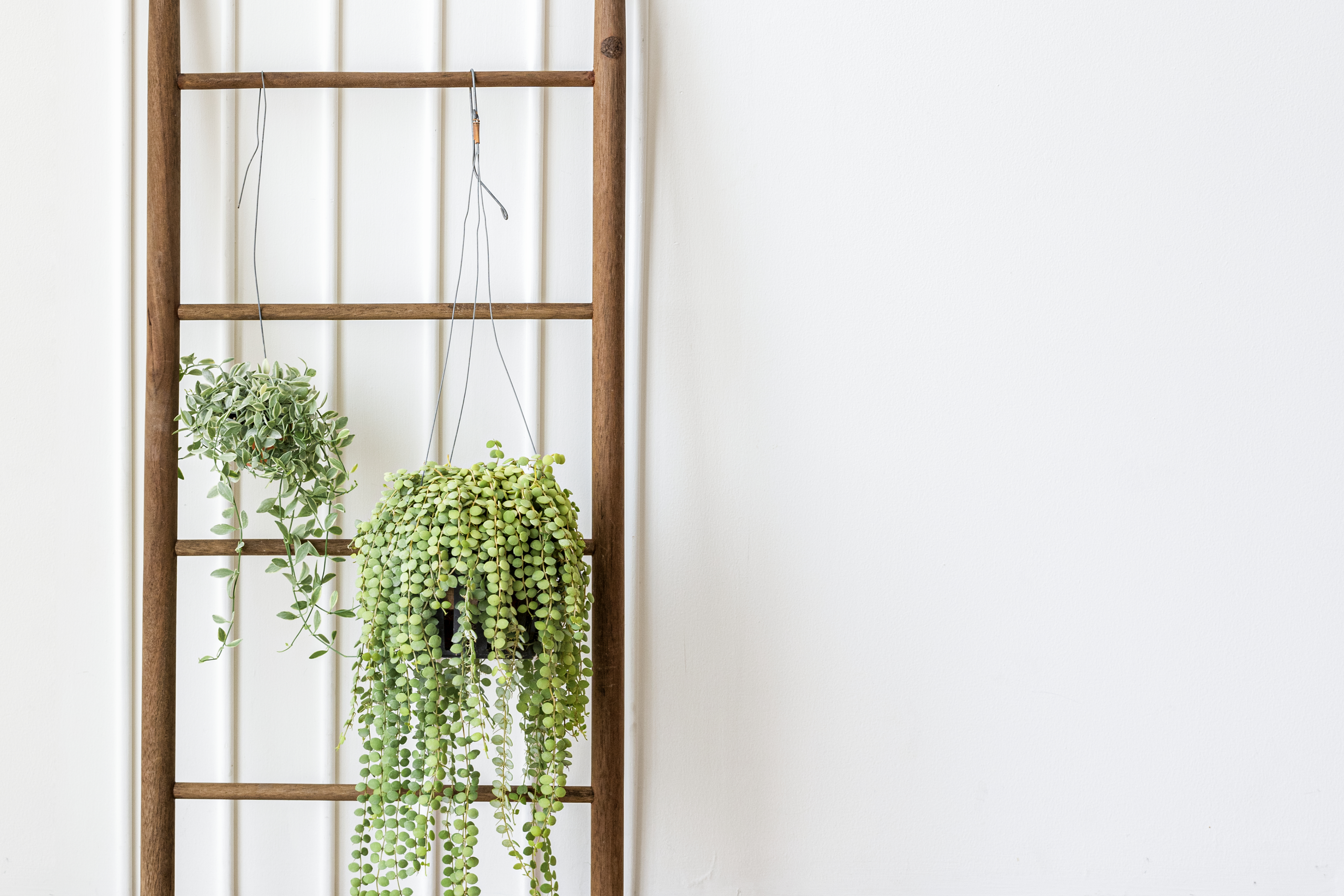 Los jardines verticales son estructuras diseñadas para cultivar plantas en paredes o superficies verticales