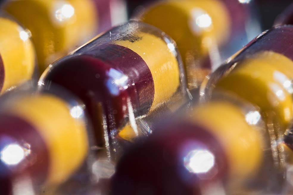 Antibióticos, la droga que engorda