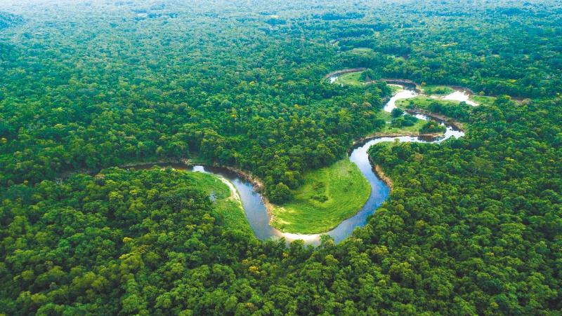 Se esperaban incendios, pero hay una anomalía muy particular en la Amazonia