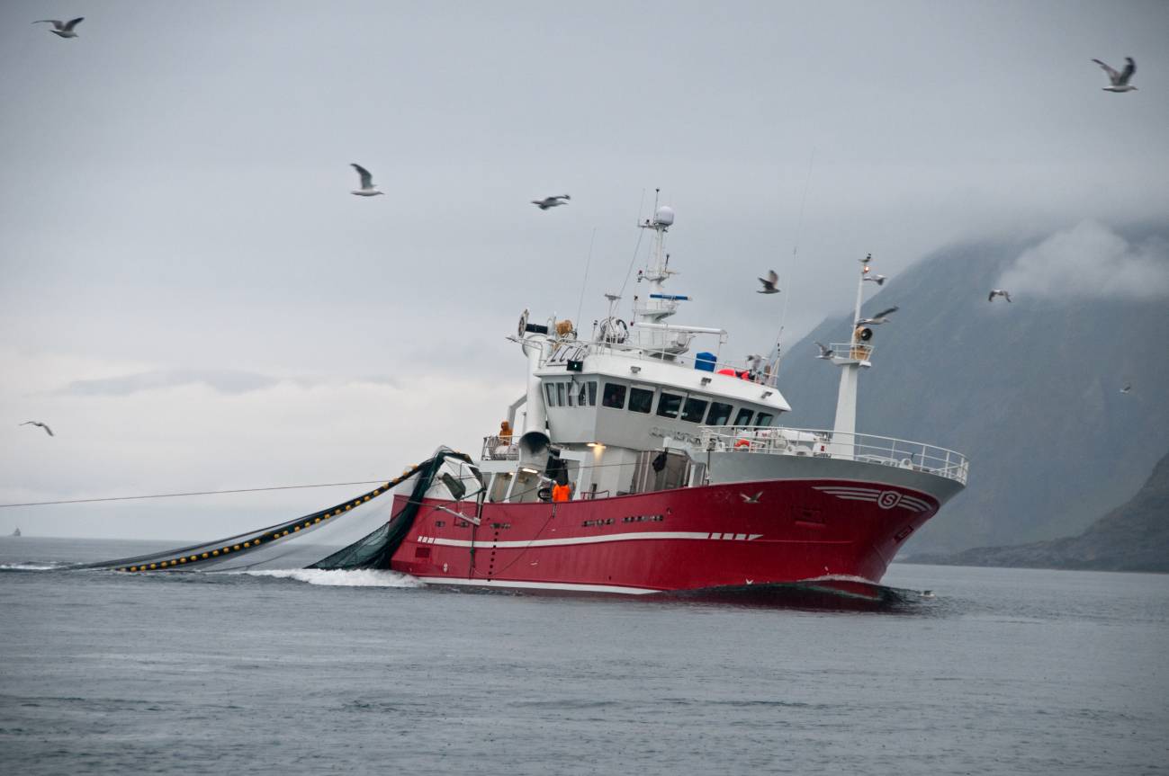 El mar podría aportar la cuarta parte de la alimentación mundial para 2050