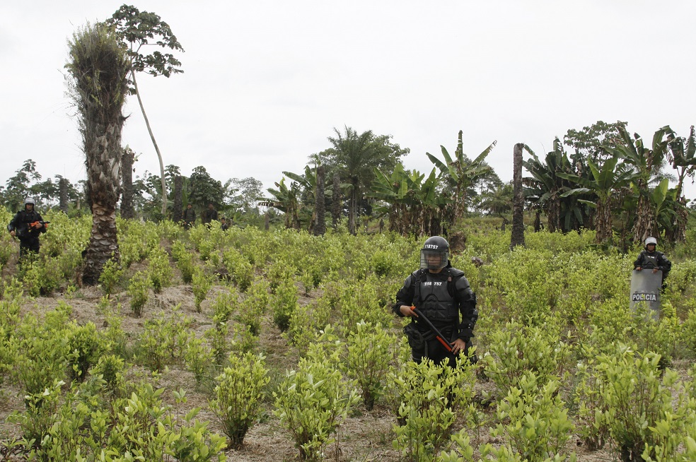 América Latina necesita acuerdo regional contra el narcotráfico, dicen expertos